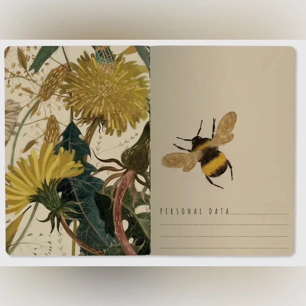 BV by Bruno Visconti these notebooks